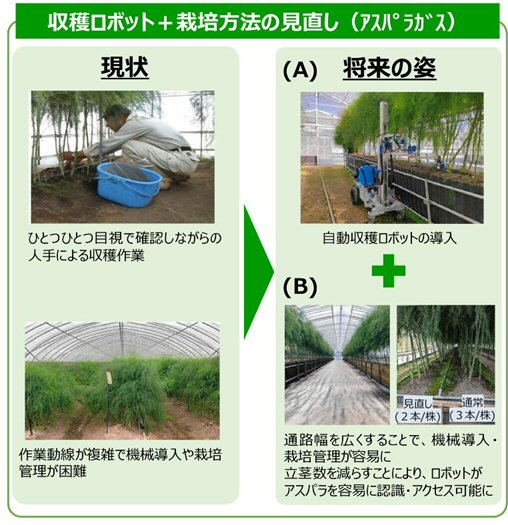 ���n���{�b�g�{�͔|���@�̌������i����׶޽�j