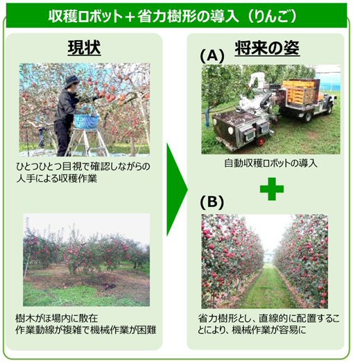 ���n���{�b�g�{�ȗ͎��`�̓����i��񂲁j�j